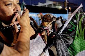 Anti ICE Demonstrations - LA