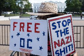 US Anti Trump Protest - Washington