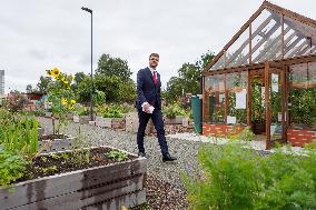 Tallinn's Pollinator Highway