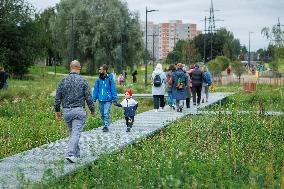 Tallinn's Pollinator Highway