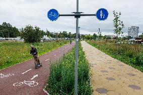 Tallinn's Pollinator Highway