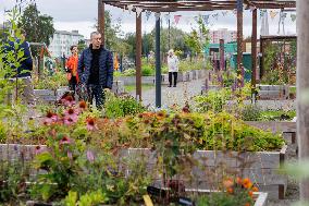 Tallinn's Pollinator Highway