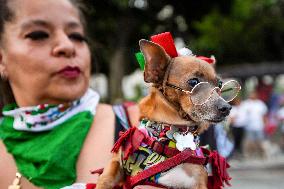 Anti ICE Demonstrations - LA