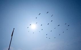 V-Day Commemorations Held In Beijing - Chin