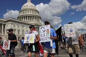 US Anti Trump Protest - Washington