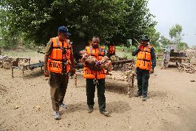 Floods Cause Damage In Multan - Pakistan