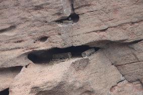 Millennium Hanging Coffin Hidden in Longhu Cave in Yingtan
