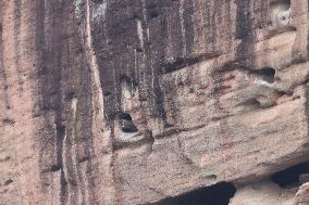 Millennium Hanging Coffin Hidden in Longhu Cave in Yingtan