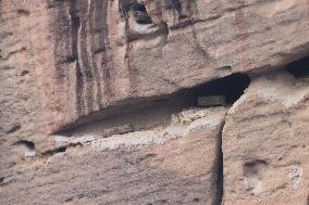 Millennium Hanging Coffin Hidden in Longhu Cave in Yingtan
