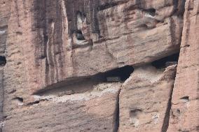 Millennium Hanging Coffin Hidden in Longhu Cave in Yingtan