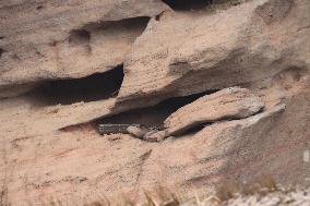 Millennium Hanging Coffin Hidden in Longhu Cave in Yingtan