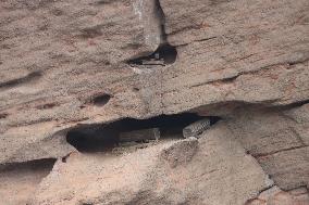 Millennium Hanging Coffin Hidden in Longhu Cave in Yingtan