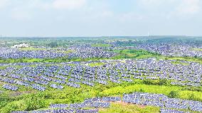Barren Mountains Photovoltaic Industry