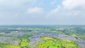 Barren Mountains Photovoltaic Industry