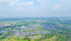Barren Mountains Photovoltaic Industry