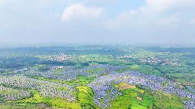 Barren Mountains Photovoltaic Industry
