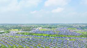 Barren Mountains Photovoltaic Industry