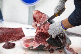 Tuna Fishing in Barbate - Cadiz