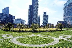 Bam Fair Play 25/26" Press Conference In Milan - Italy