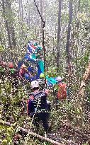Helicopter Crash Wreckage Found In South Kalimantan - Indonesia