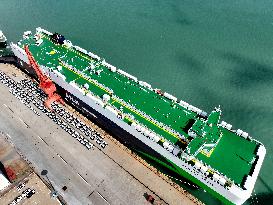 New Energy Vehicle Exports Increase