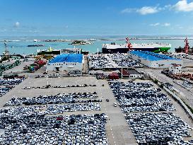 New Energy Vehicle Exports Increase