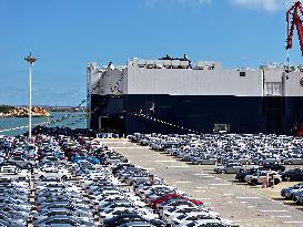 New Energy Vehicle Exports Increase
