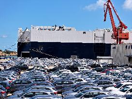 New Energy Vehicle Exports Increase