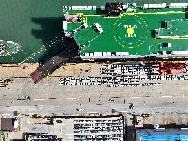 New Energy Vehicle Exports Increase