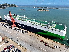 New Energy Vehicle Exports Increase