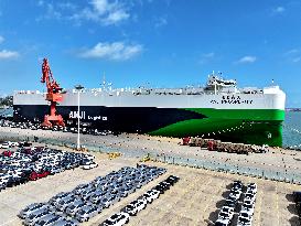 New Energy Vehicle Exports Increase