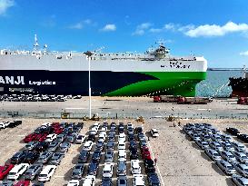 New Energy Vehicle Exports Increase