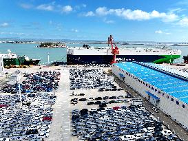 New Energy Vehicle Exports Increase