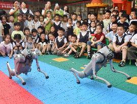 AI Education in Kindergartens