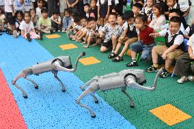 AI Education in Kindergartens