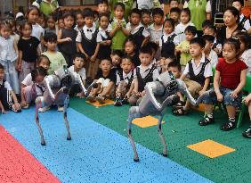 AI Education in Kindergartens