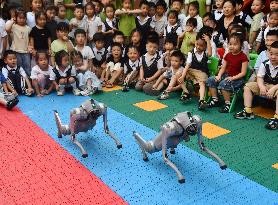 AI Education in Kindergartens