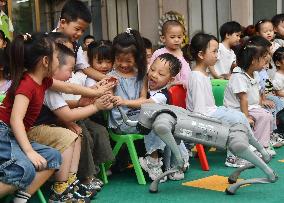 AI Education in Kindergartens