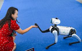 World Smart Industry Expo 2025 - China