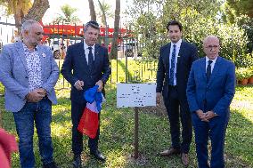 Planting of An Olive Tree in Tribute to Ilan Halimi in Nice - France