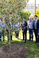 Planting of An Olive Tree in Tribute to Ilan Halimi in Nice - France