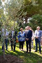 Planting of An Olive Tree in Tribute to Ilan Halimi in Nice - France