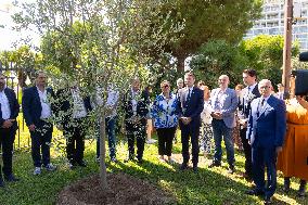 Planting of An Olive Tree in Tribute to Ilan Halimi in Nice - France