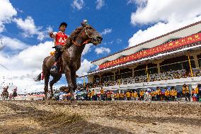Traditional Horse Racing Festival - China