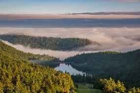 Illustration - Alsace