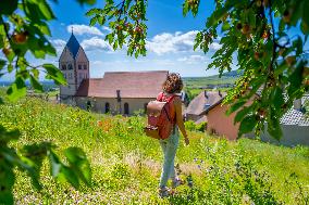 Illustration - Alsace