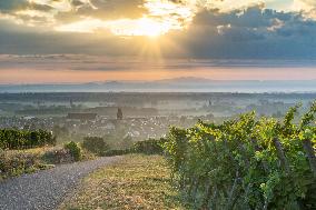 Illustration - Alsace