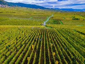 Illustration - Alsace