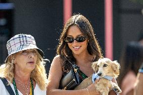 MOTORI - Formula 1 - Pirelli Gran Premio d'Italia 2025