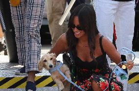 MOTORI - Formula 1 - Pirelli Gran Premio d'Italia 2025